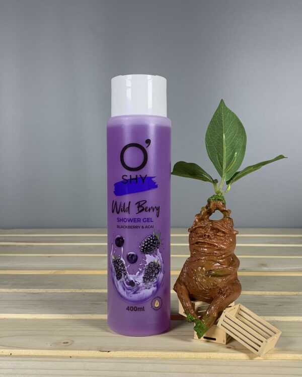 Гель для душу O'shy Wild Berry Shower Gel - 400 мл.