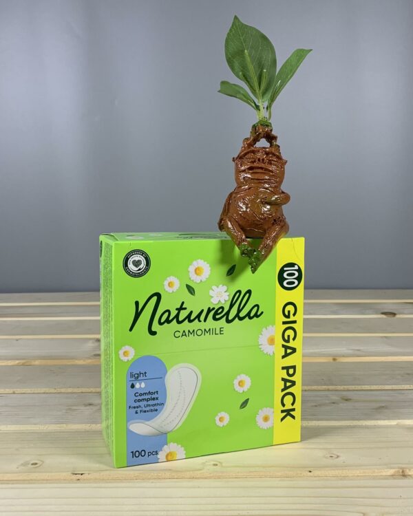 Щоденні гігієнічні прокладки Naturella Сamomile Light 100 шт.