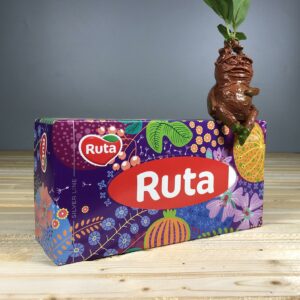 Серветки косметичні Ruta Magical garden 150 листів 2 шари.
