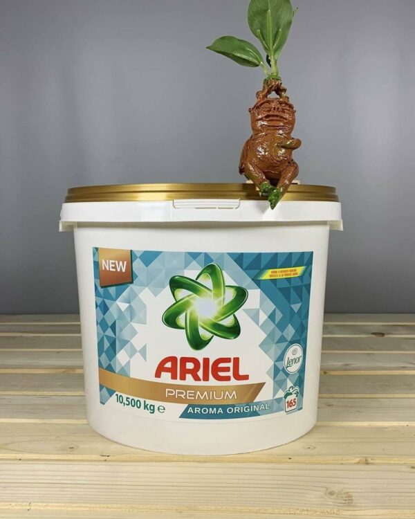 Пральний порошок ARIEL PREMIUM 10,5 КГ