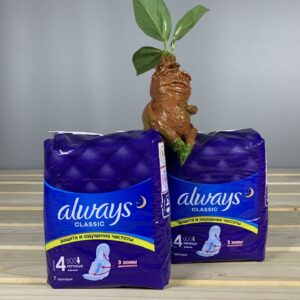 Гігієнічні прокладки Always Classic Night Розмір 4 - 7 шт.