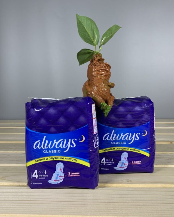 Гігієнічні прокладки Always Classic Night Розмір 4 - 7 шт.