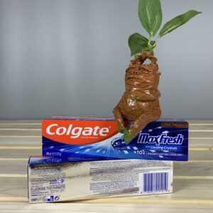 Зубна паста ю Colgate max fresh 100 мл