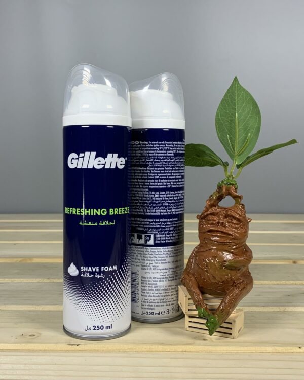 Піна для гоління Gillette Refreshing Breeze 250 - мл.