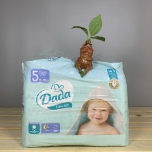 Підгузки DADA Extra Soft 5 - 42 шт.( 15-20 кг. )