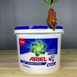 Пральний порошок Аriel antibacterial + lenor 10,5 kg