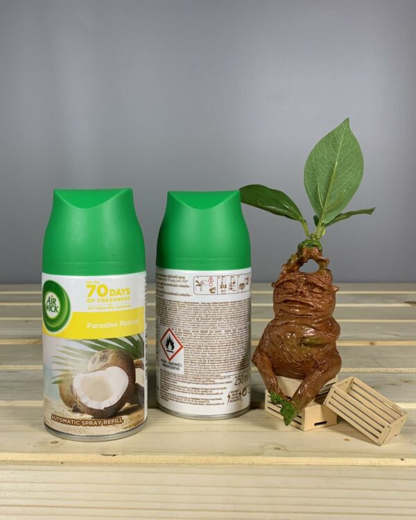 Змінний балон Air Wick Freshmatic Райський куточок, 250 мл.