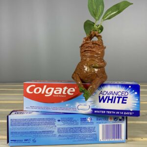 Colgate Advanced White 100 мл.