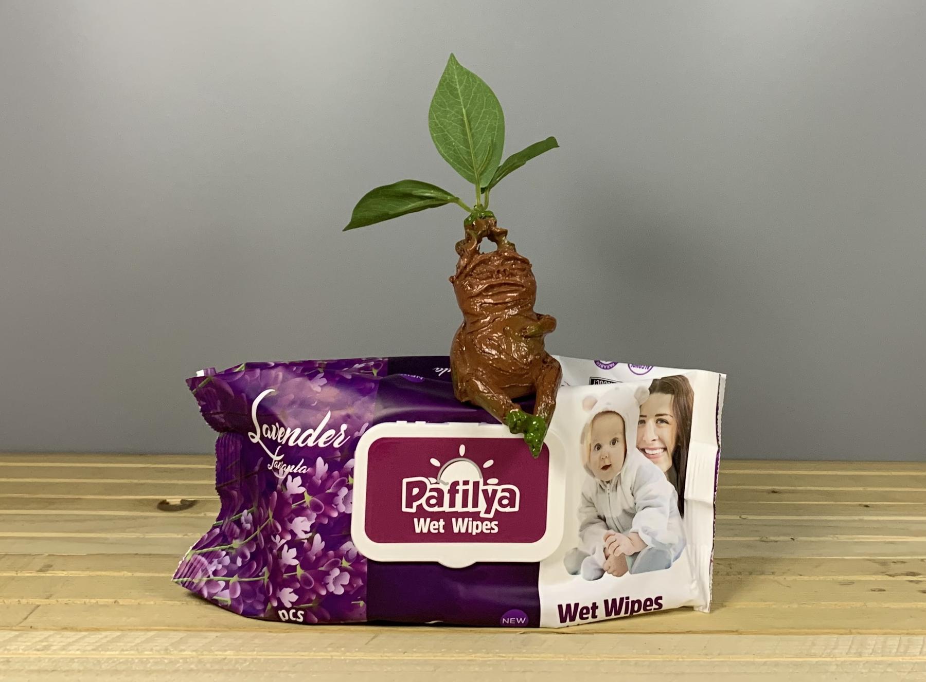 Вологі серветки з клапаном Pafilya з запахом Лаванди - 120 шт.