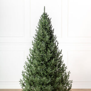 Ялинка лита "Віденська" Зелена 2,50м