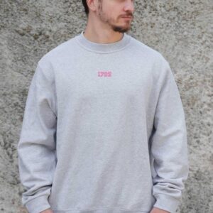 Чоловічий Утеплений Оверсайз Світшот На Флісі З Принтом Without 1702 Pink