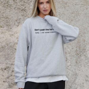 Жіночий Утеплений Оверсайз Світшот На Флісі З Принтом Without Не Жени Коней Gray