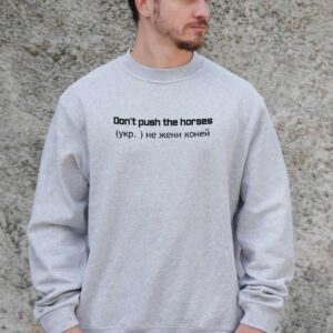 Чоловічий Утеплений Оверсайз Світшот На Флісі З Принтом Without Не Жени Коней Gray