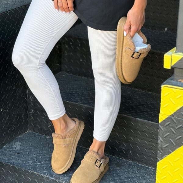 ЗИМОВІ КЛОГИ