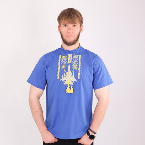 Чоловіча футболка вишиванка "Символи", Електрик, XL